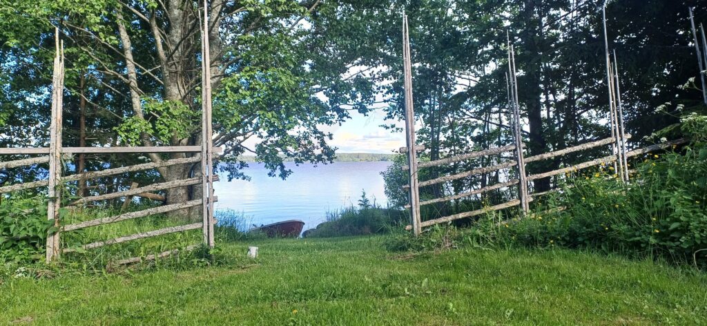 Järvimaisema majoituksen takapihalla